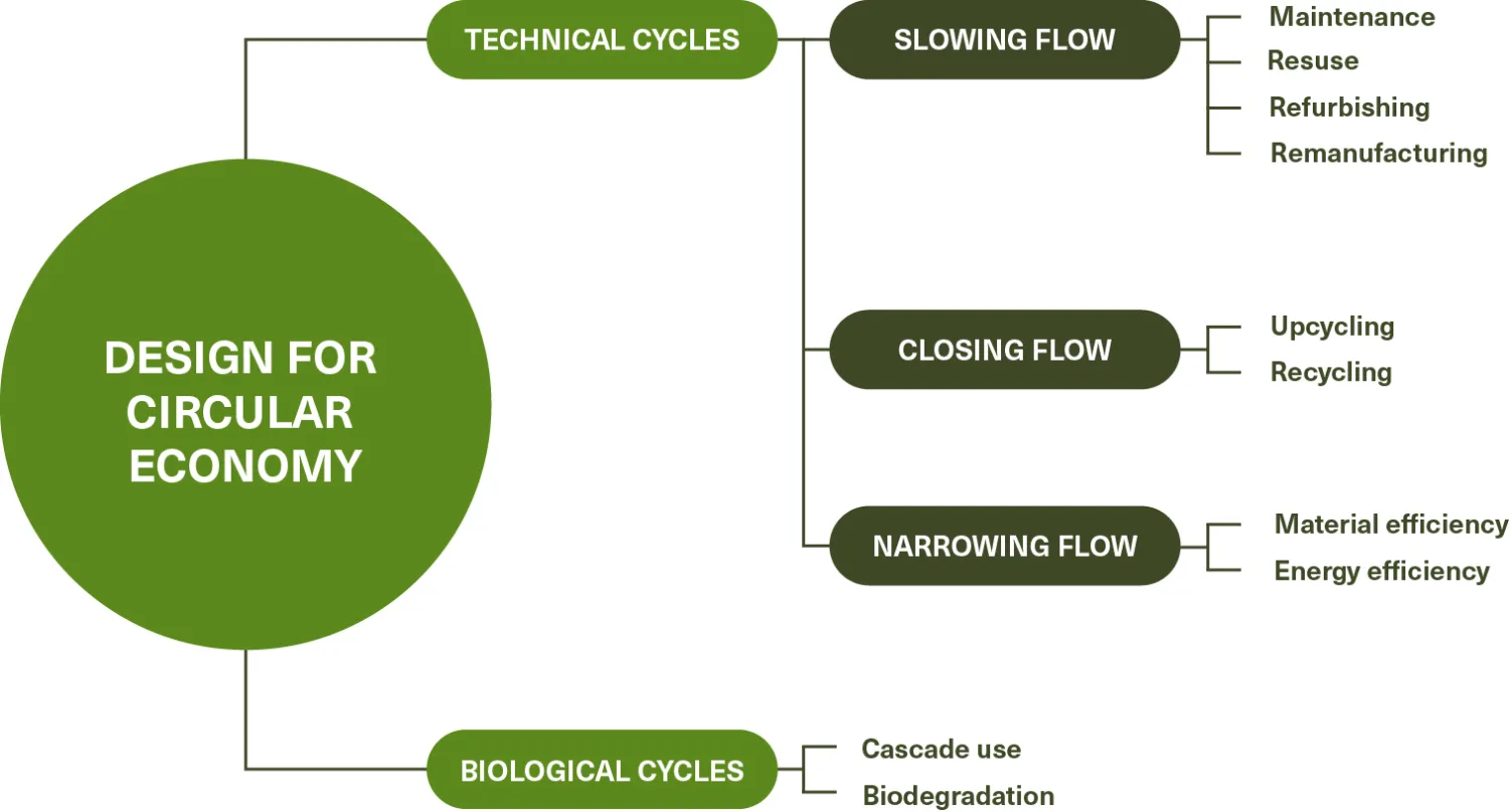 Diagram showing “Design for Circular Economy” in a green circle, linked to “Technical Cycles” and “Biological Cycles.” Branches list “Slowing Flow,” “Closing Flow,” “Narrowing Flow,” with items like maintenance, reuse, recycling, and energy efficiency.