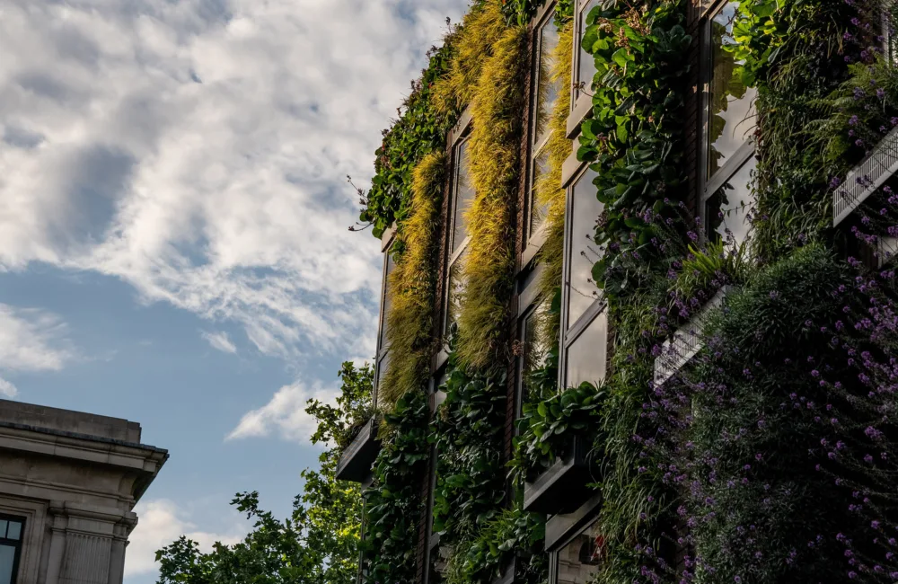 Building façade with windows and extensive vertical planting, including grasses and flowering vegetation, beneath a cloudy sky.
