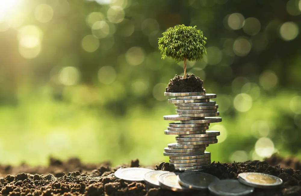 Tree growing on coin stack in nature with sunshine