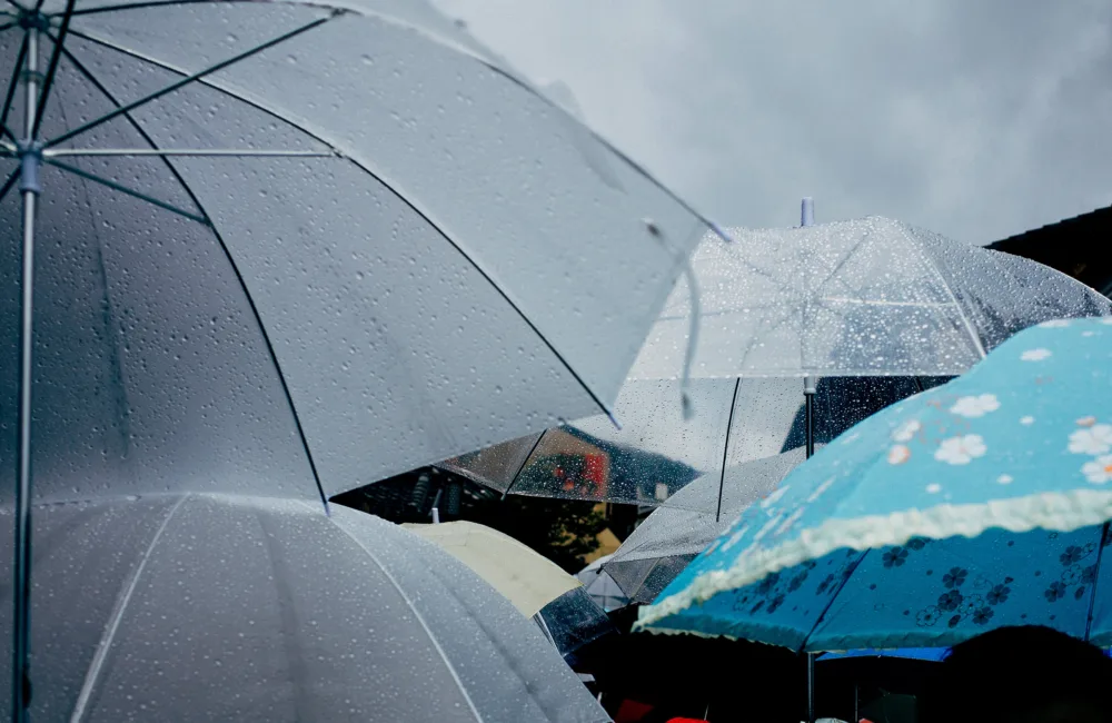 A group of people holding umbrellas in the rain