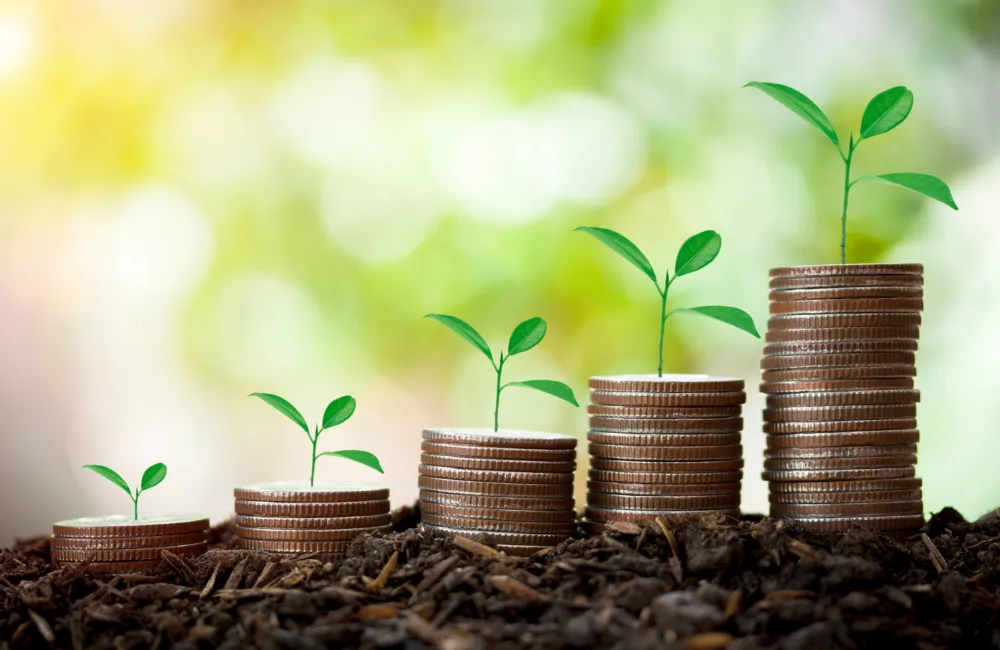 Five plants starting to grow out of piles of coins