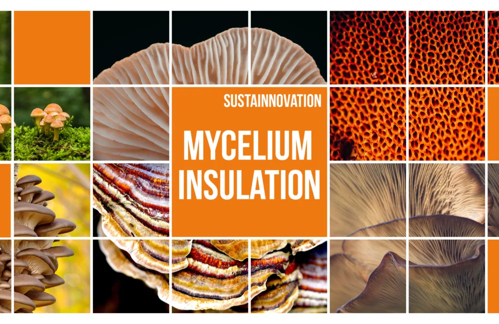 Collage of square images of mushrooms surrounding a title reading 'Sustainnovation - Mycelium Insulation'