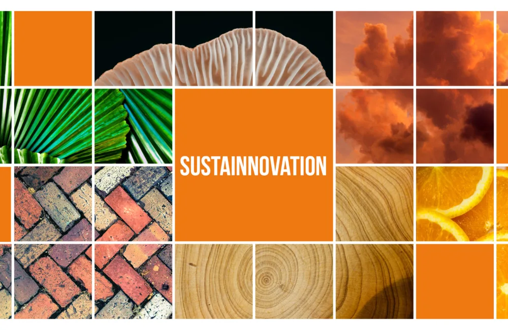 Collage of square images of objects including a green leaf, a red cloud and sliced oranges, interspersed with squares of block orange colour. The centre orange square holds white texts reading 'Sustainnovation'