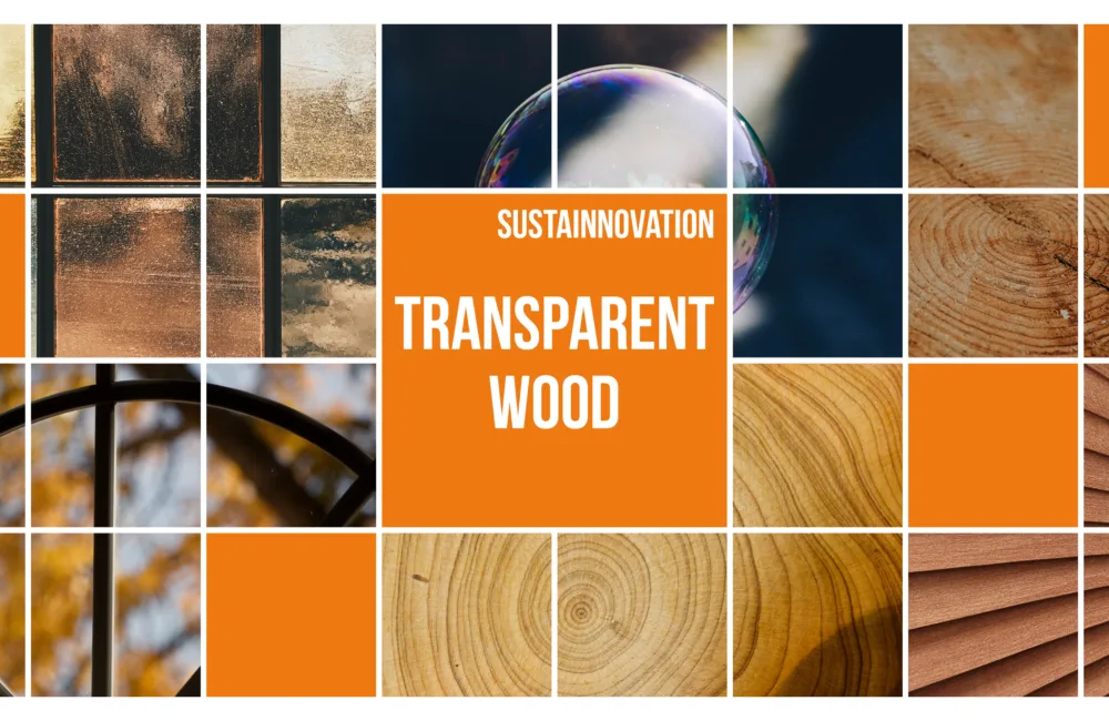 Collage of square images of wood grain and windows, surrounding a title of 'Sustainnovation - Transparent Wood'