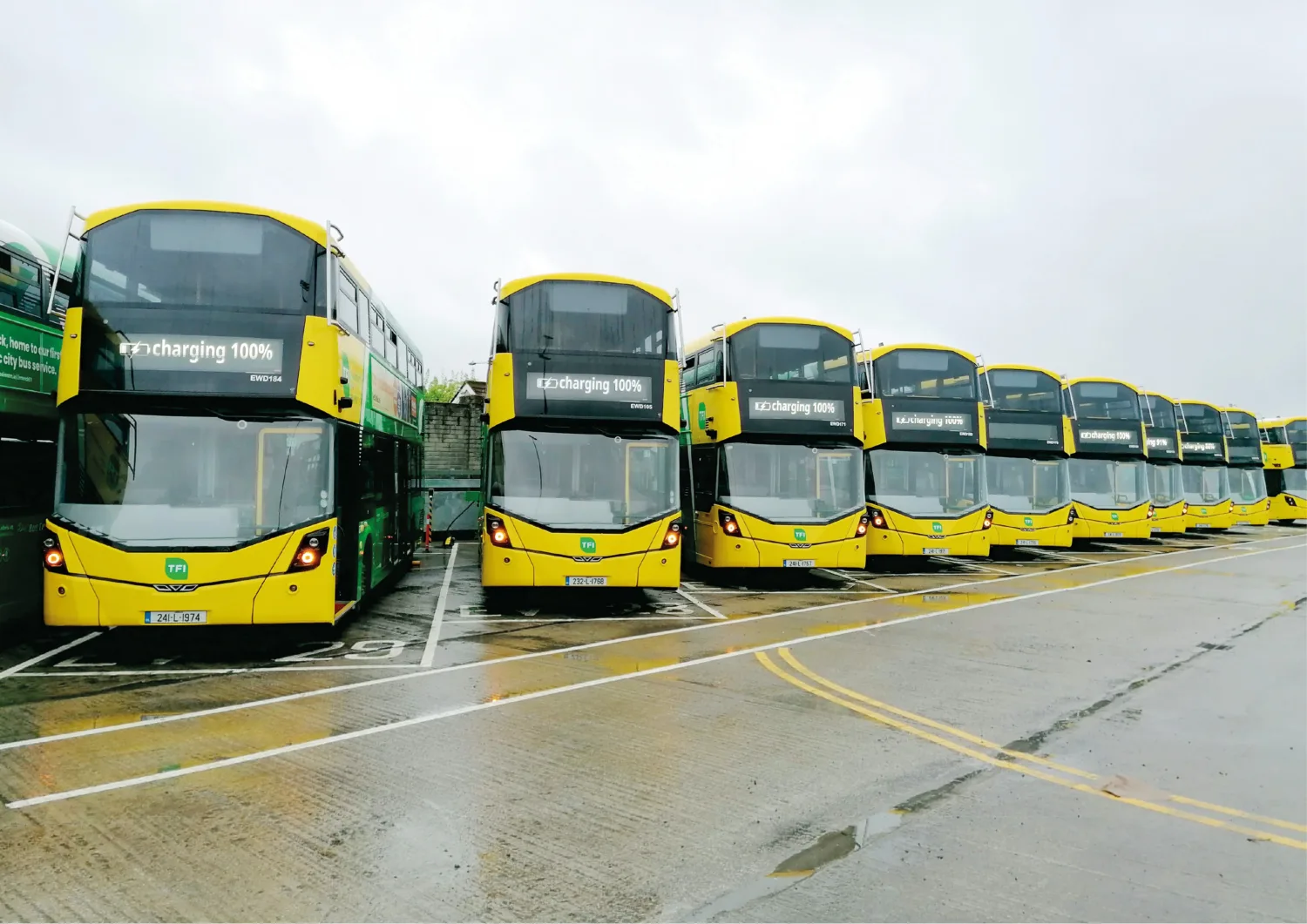 Row of EV buses in Roxboro depot