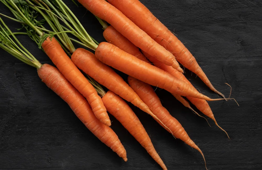 Bunch of orange carrots on a dark surface