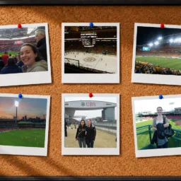 Collage of six pinned photographs on a corkboard, showing sports stadiums, an ice hockey arena, and outdoor venue scenes, with people visible in several images.