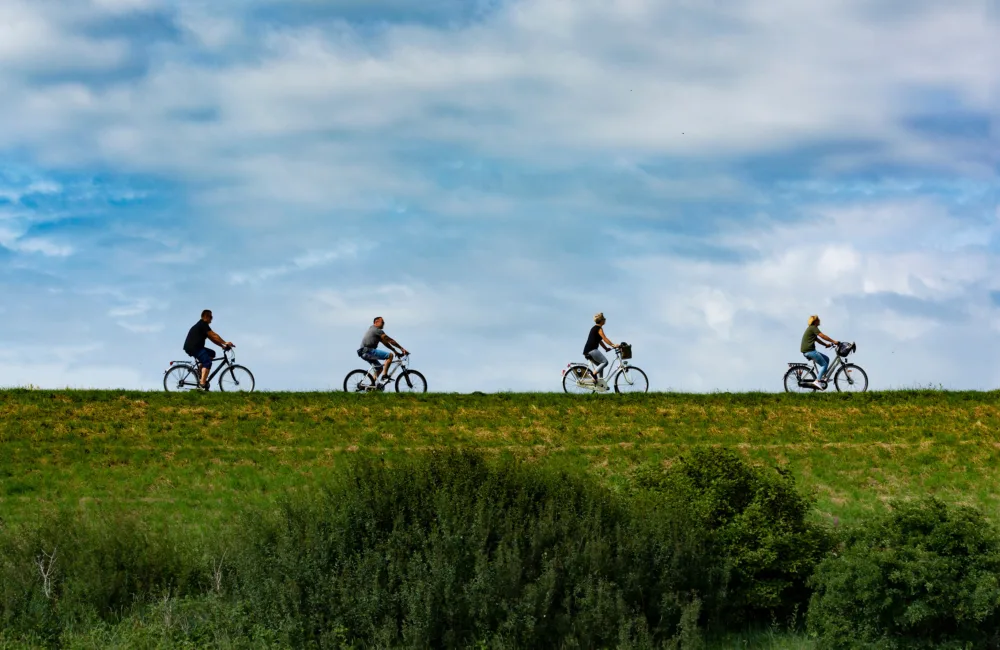 Four people ride bicycles in single file along a grassy ridge, silhouetted against a wide sky with scattered clouds. Green shrubs and vegetation appear below the ridge.