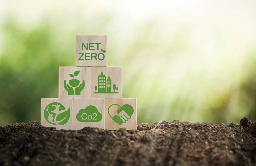 Sustainability icons printed on blocks placed above healthy soil and green environment