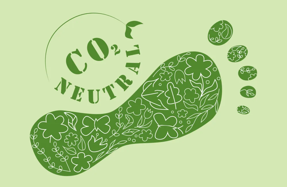 Foot print with ecological doodles
