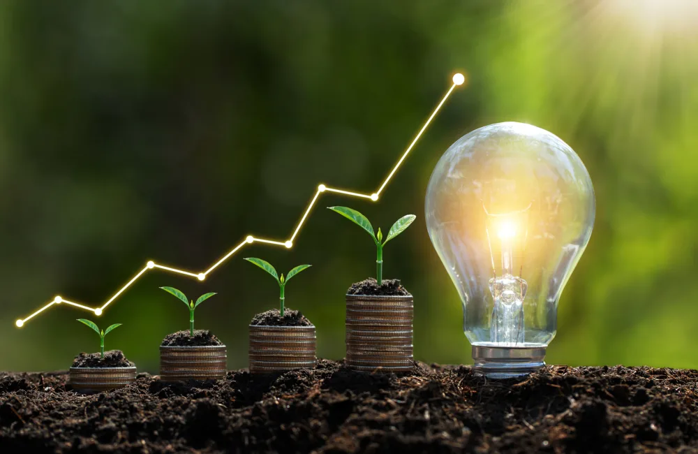 4 sprouts placed over a stack of coins which are growing in number from left to right. On the far right is a lit up light bulb.