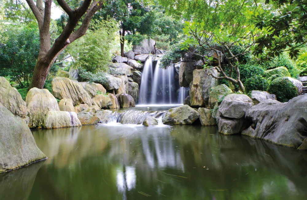 Creek with flowing waterfall, surrounded by trees and rocks
