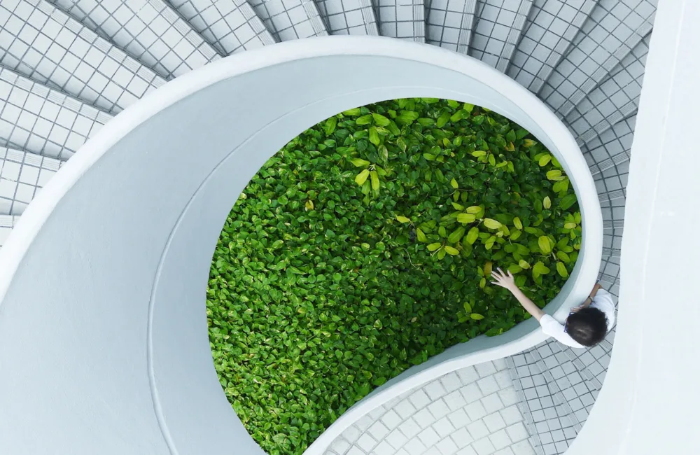 Aerial view of a person leaning over a spiral staircase with a leafy centre