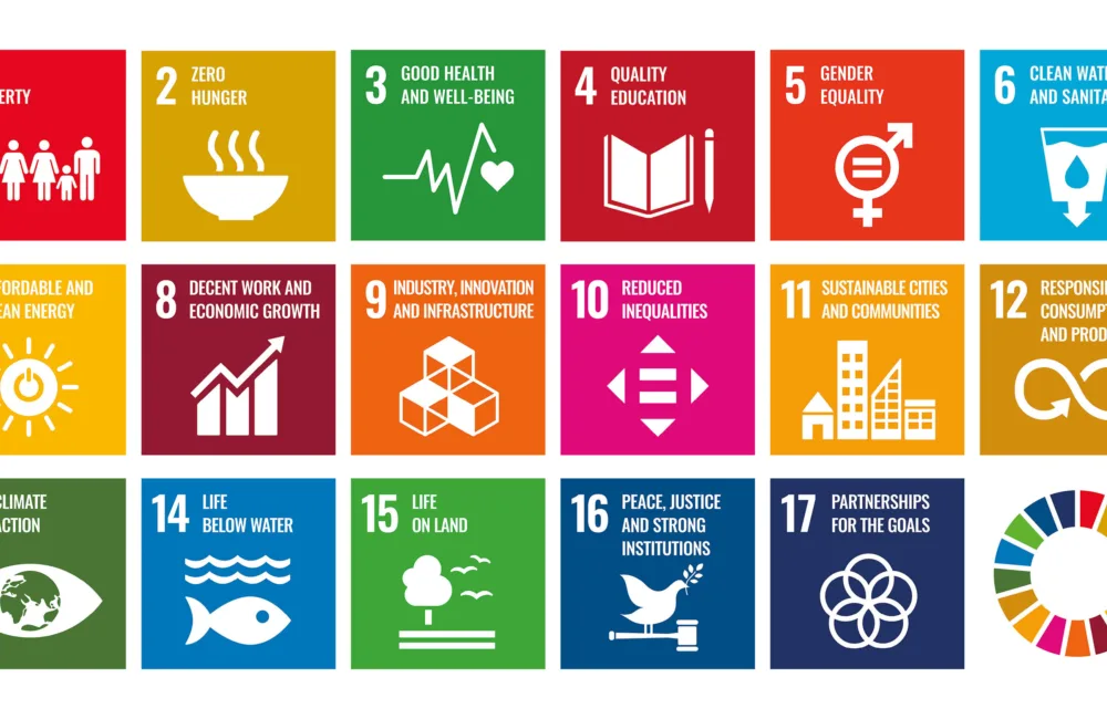 Infographics of the 17 UN SDGs
