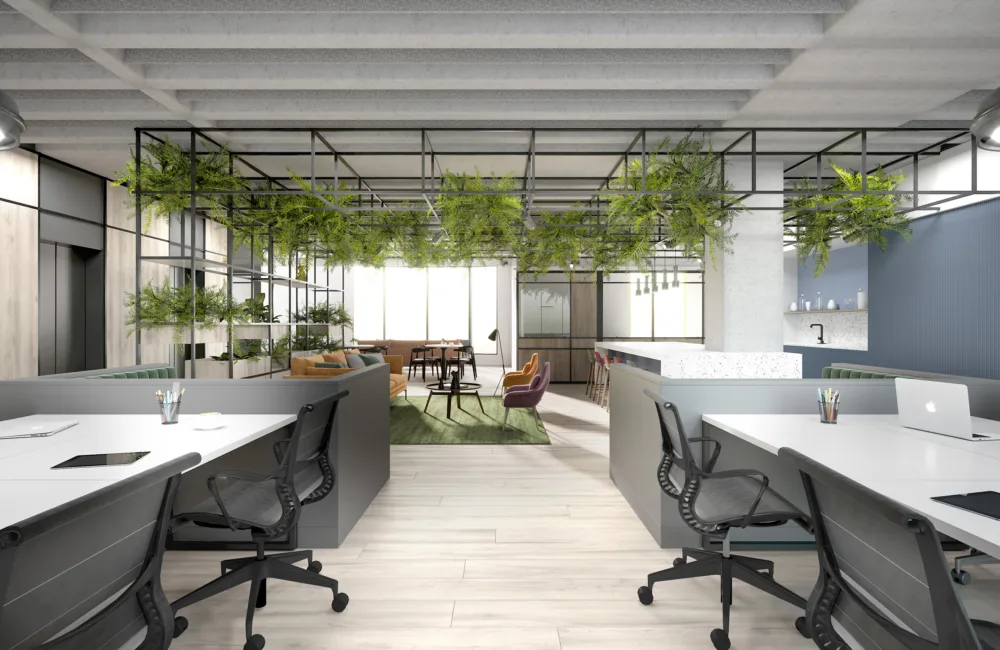 Modern interior of an office with white surfaces and green plants