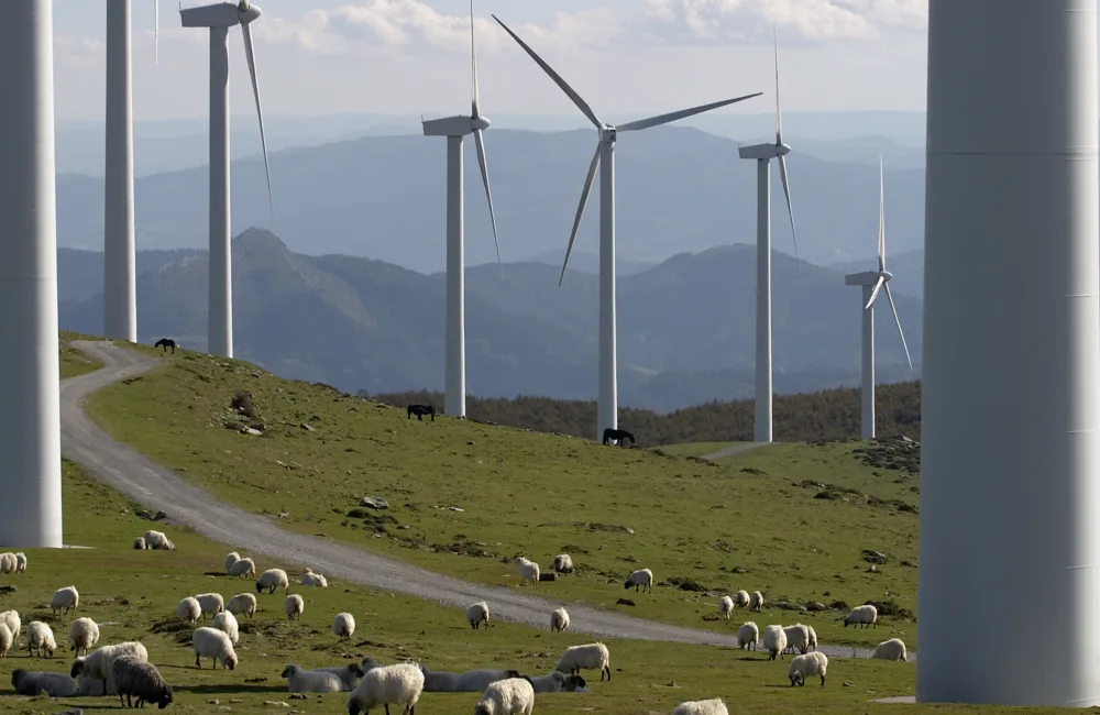 Several wind turbines on a grassy hill with some sheep