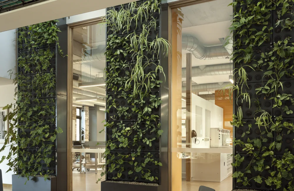 Internal wall split into three panels, each covered in growing green plants