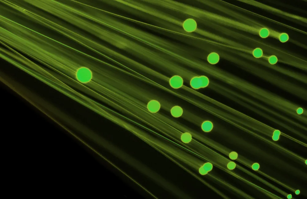 Green optical fibre cables against a black background