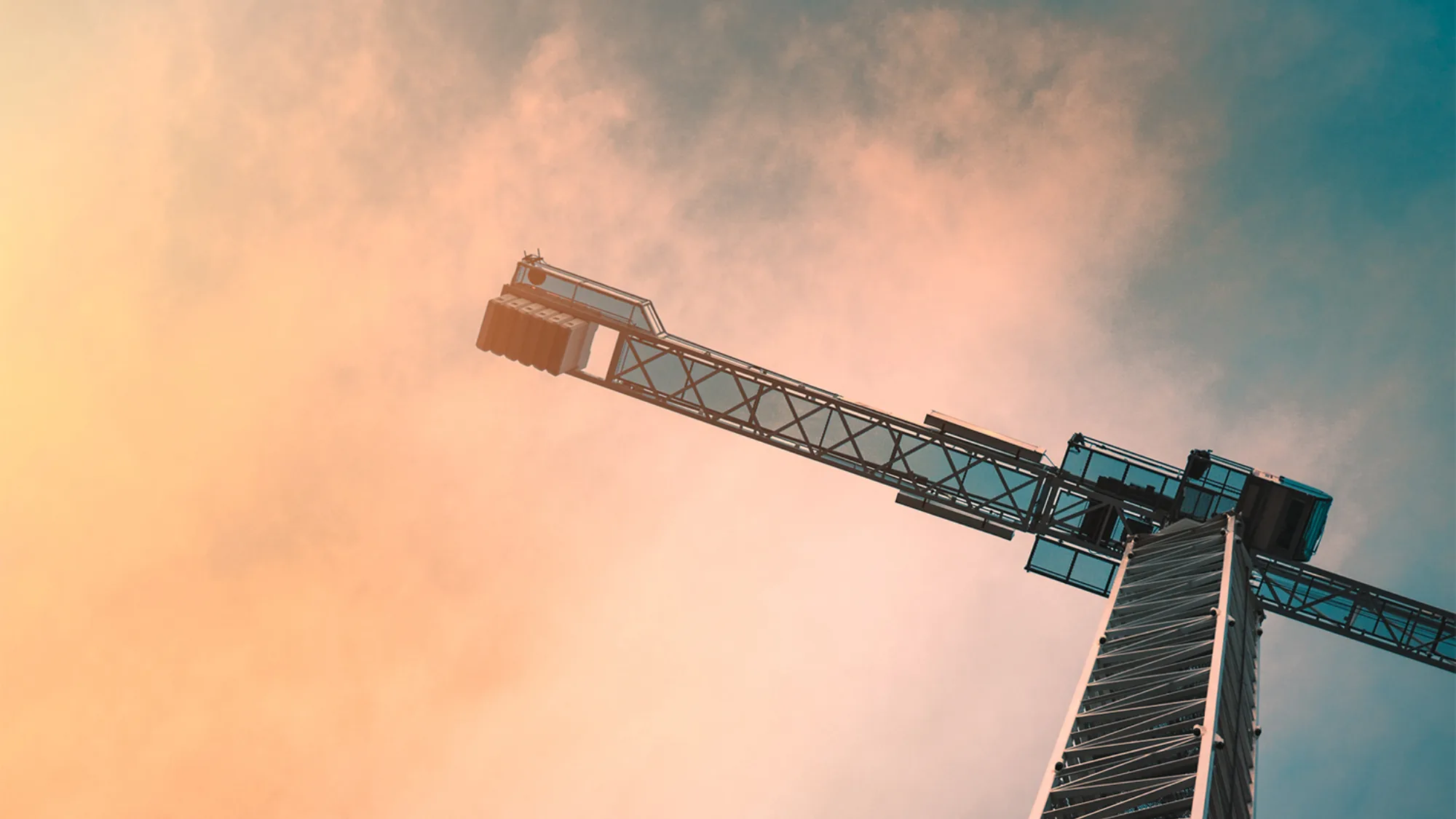 Crane against a dusky sky