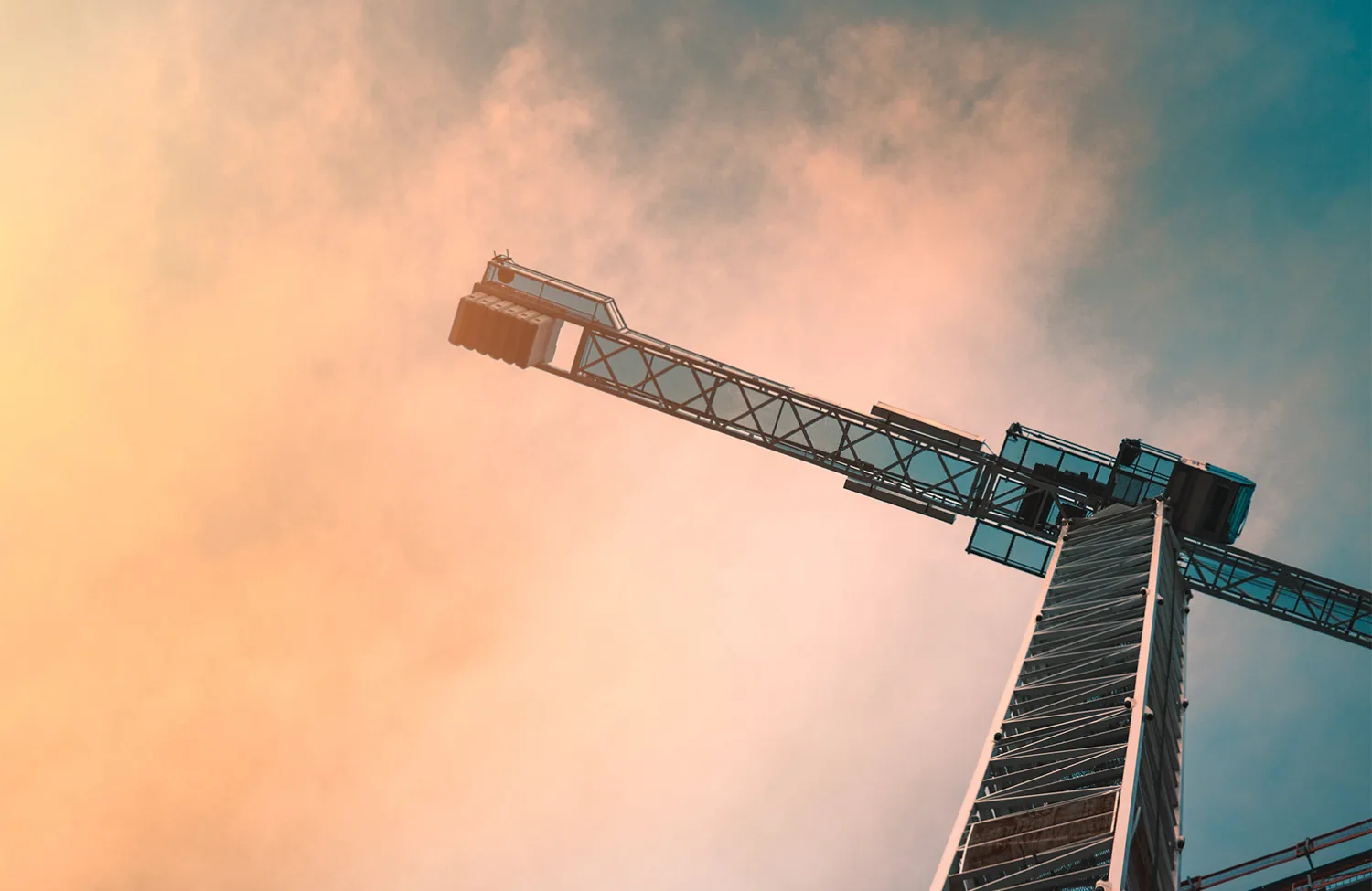 Crane against a dusky sky