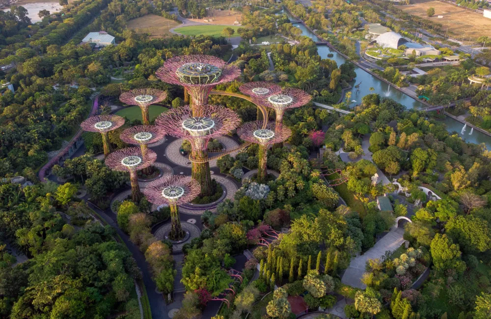 Aerial shot in Gardens by the Bay nature park in Singapore