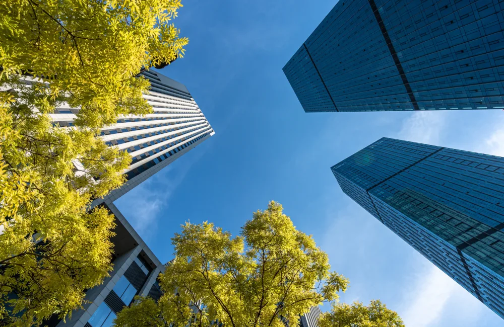 Worms eye view of skyscrapers against a blue sky with foliage in foreground