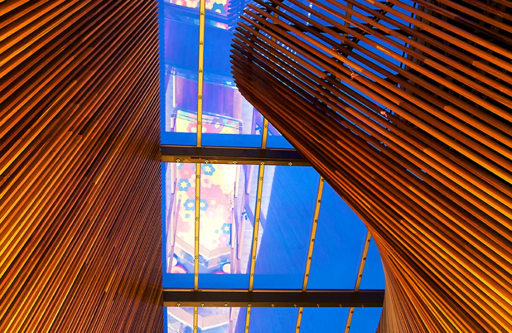 Interior of a modern building, strips of wood arranged in a curving pattern, all pointing towards a clear glass ceiling