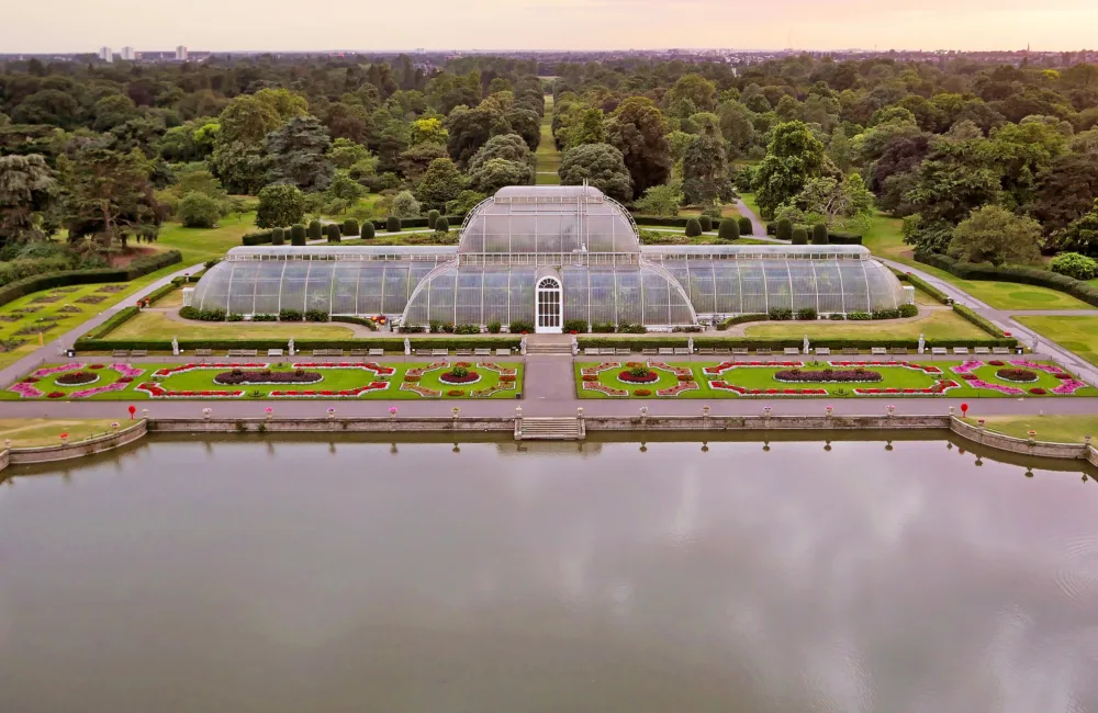 Aerial view of Palm House