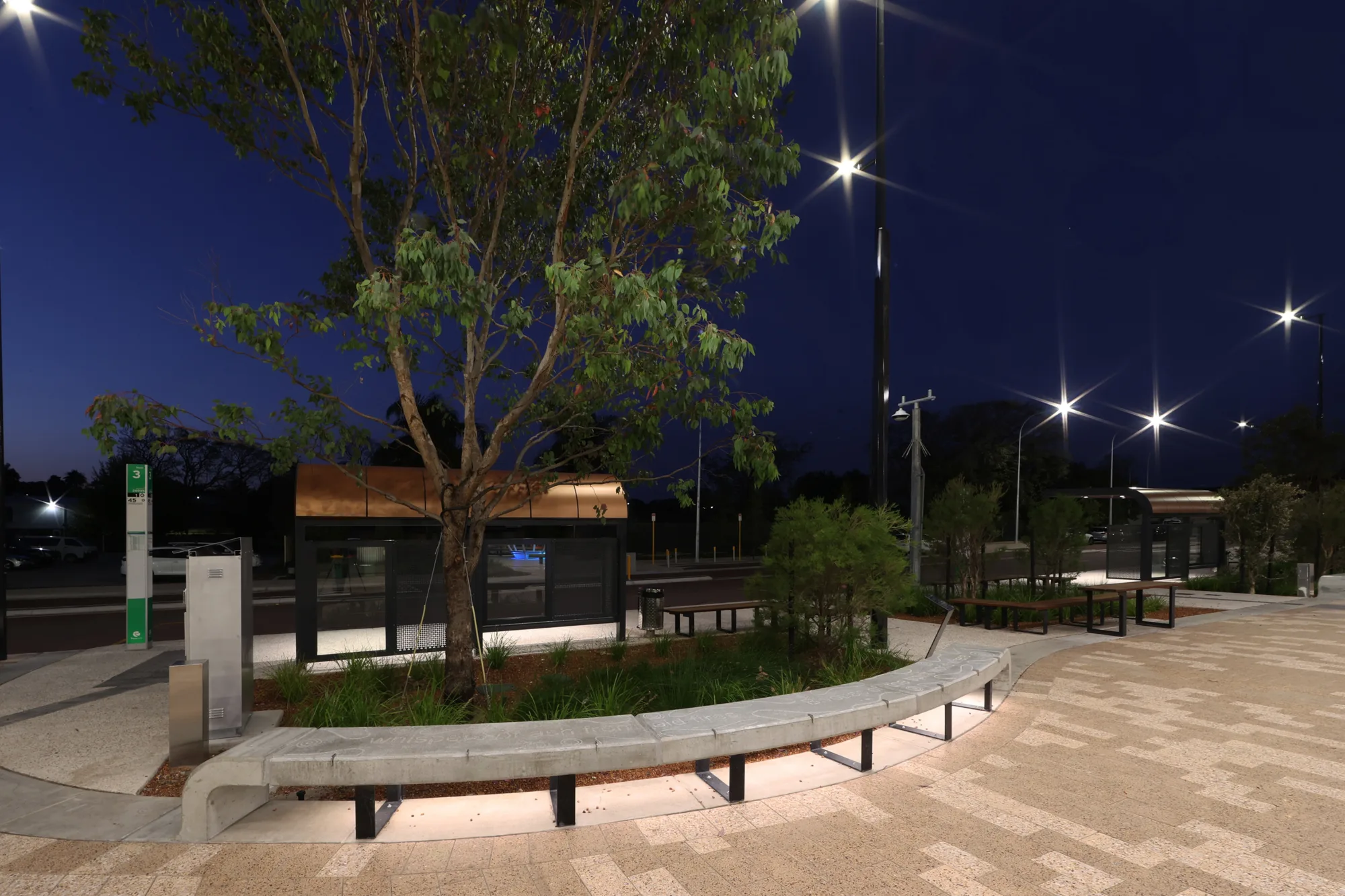 Climate resilient plants located in Bayswater Station precinct.