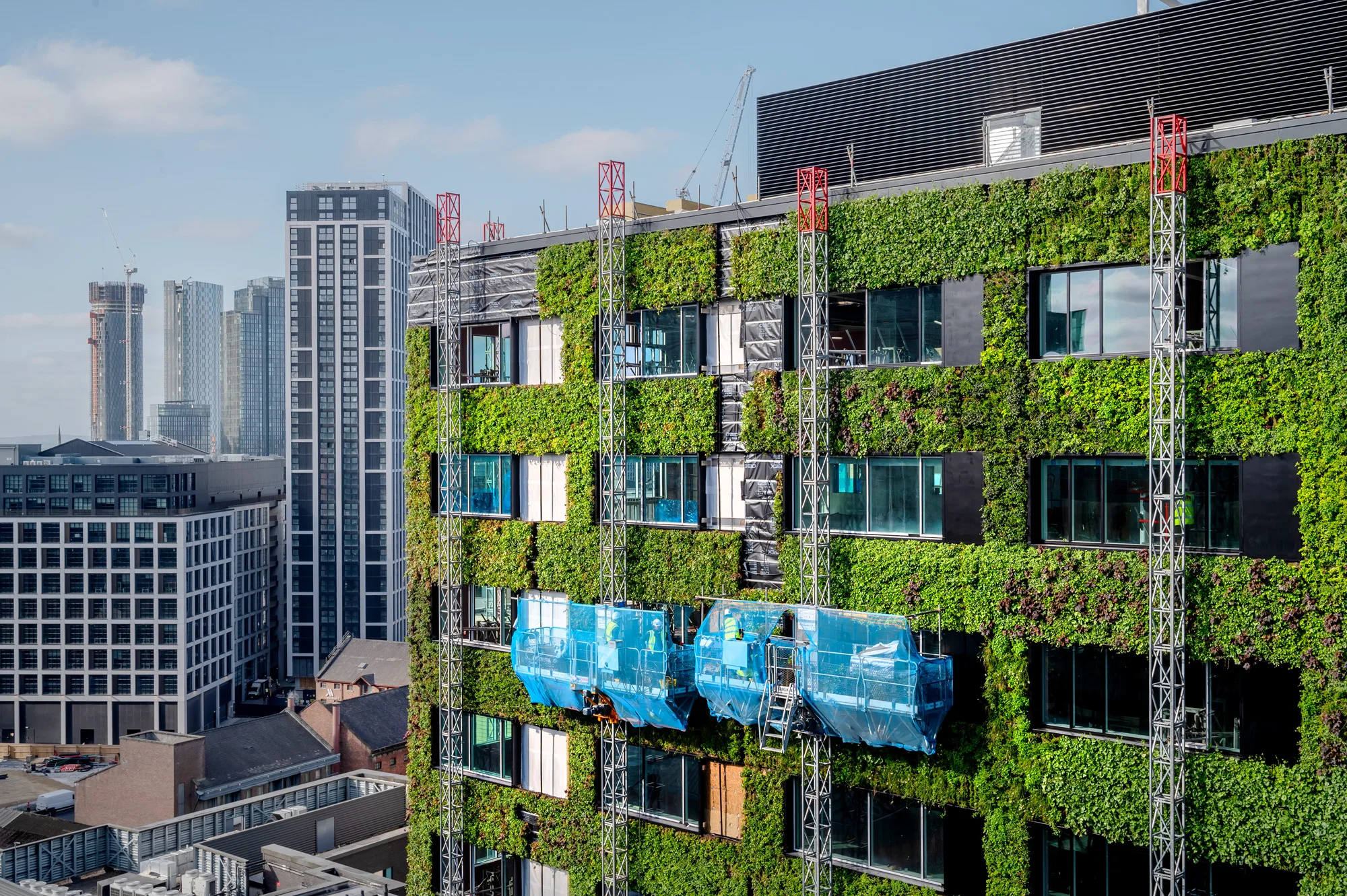Green facade under construction with skyscapers in background