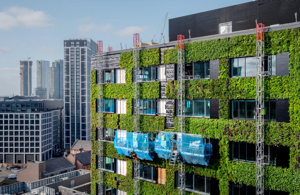 Green facade under construction with skyscapers in background