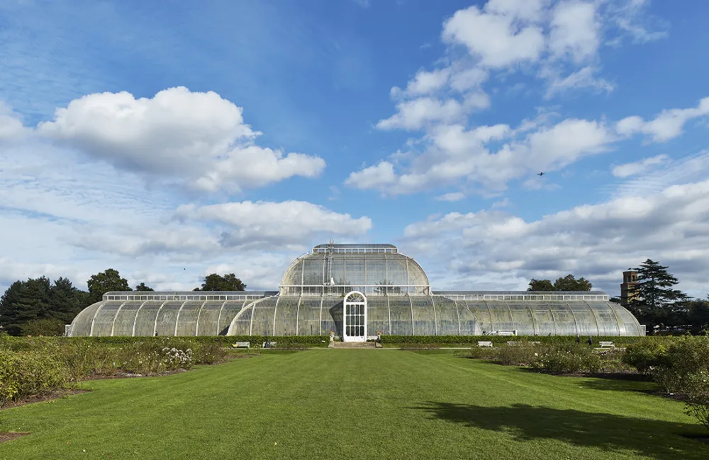 Kew Gardens Palm House with lawn in front of glass building with cloudy blue sky