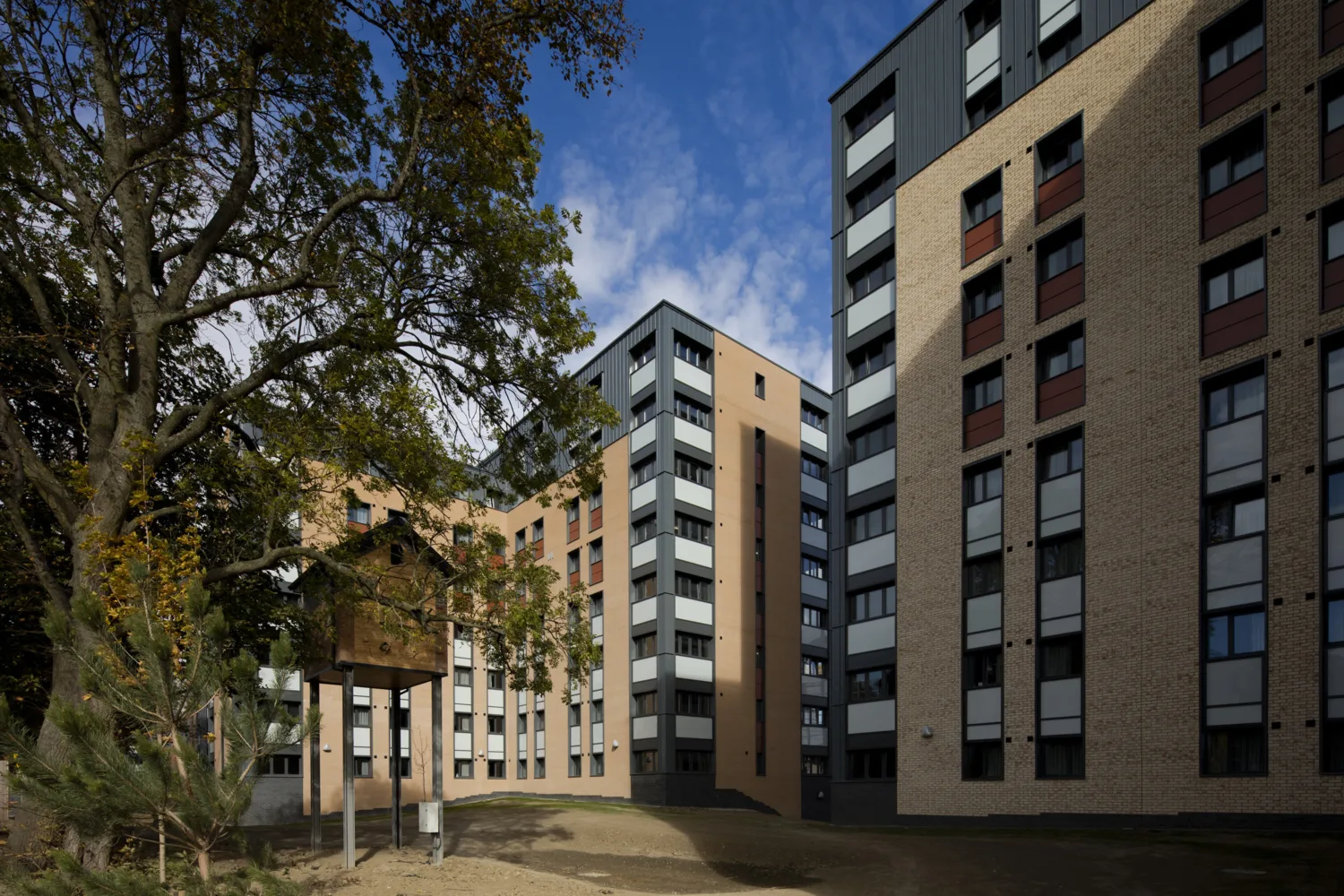 Park view residential buildings with a tree in the foreground