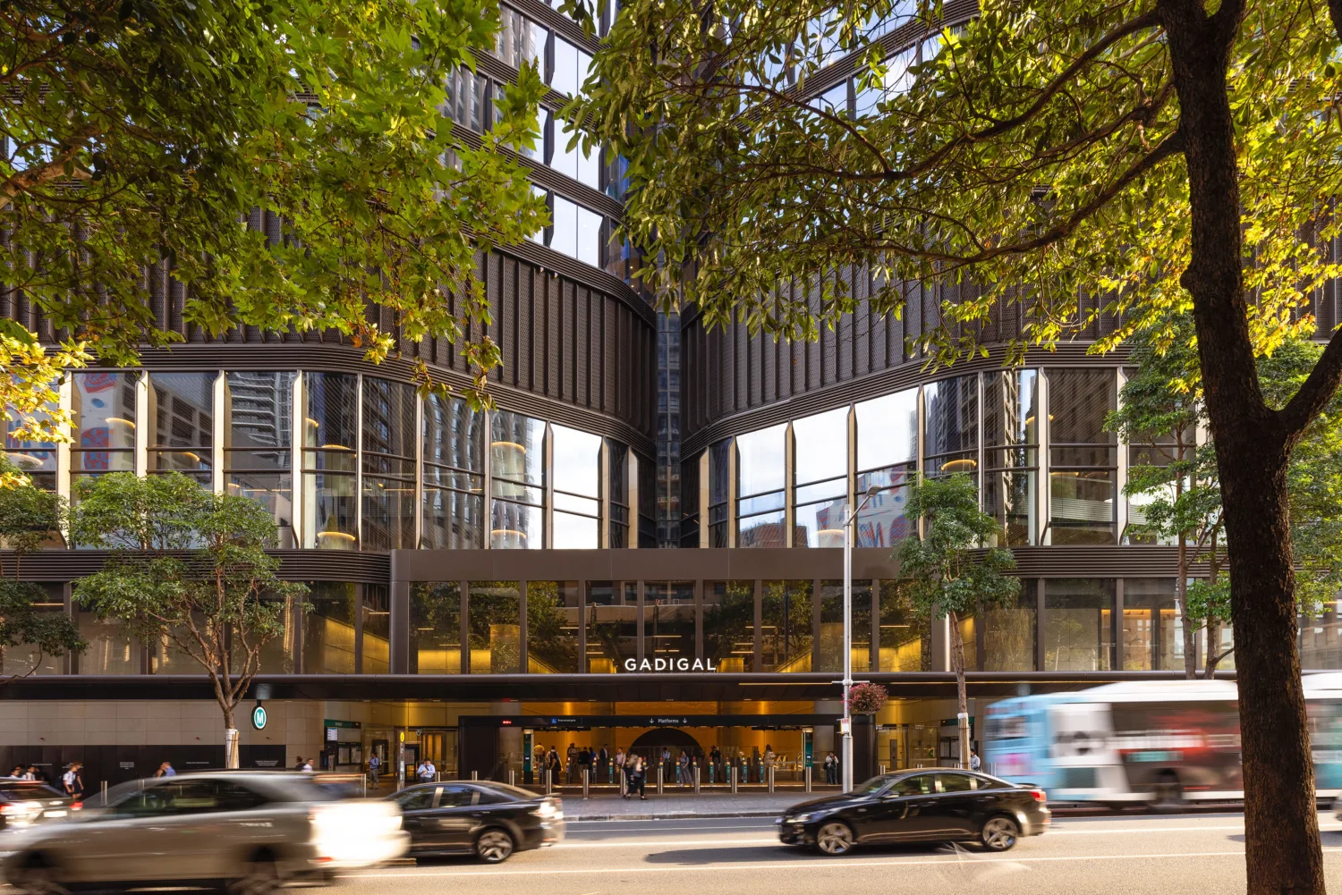 Street-level view of a modern glass building with a central entrance labeled “GADIGAL.” Trees frame the foreground, and several cars and a bus are visible on the road in front.