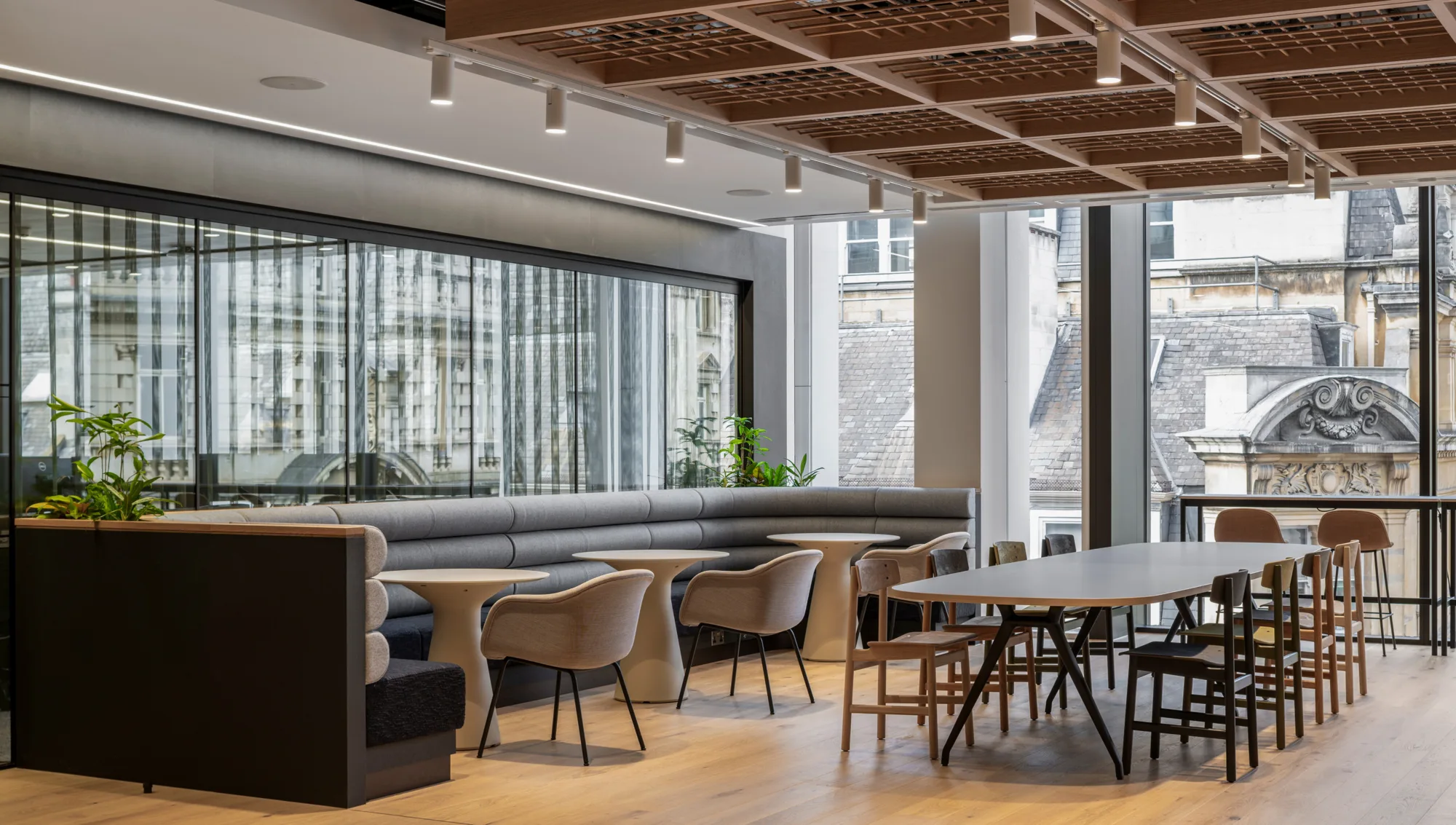 A seating area with a long curved bench, small tables, and mixed chairs arranged on light wood flooring. Large windows show building exteriors, and ceiling panels with spotlights hang above several plants placed around the space.
