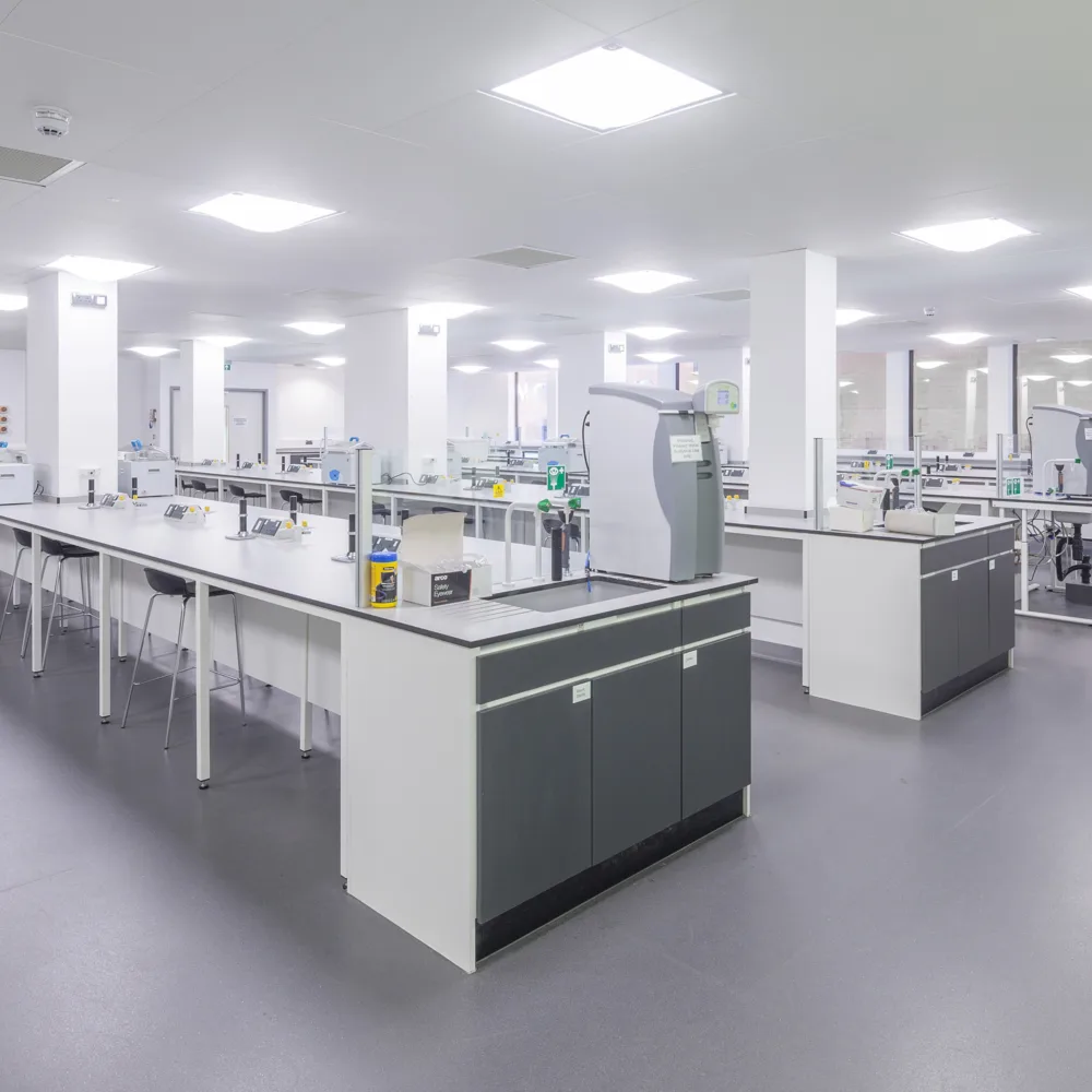 Empty laboratory with grey flooring and white lab space