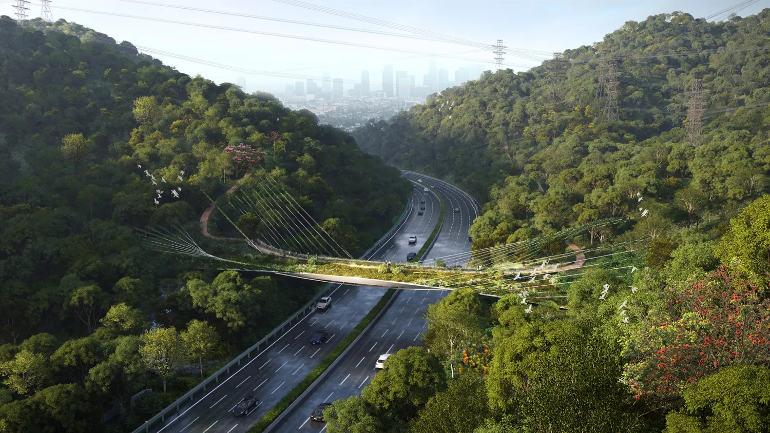The eco-leisure bridge re-establishes the connection for both wildlife and pedestrians between Meilin Mountain and Yinhu Mountain.