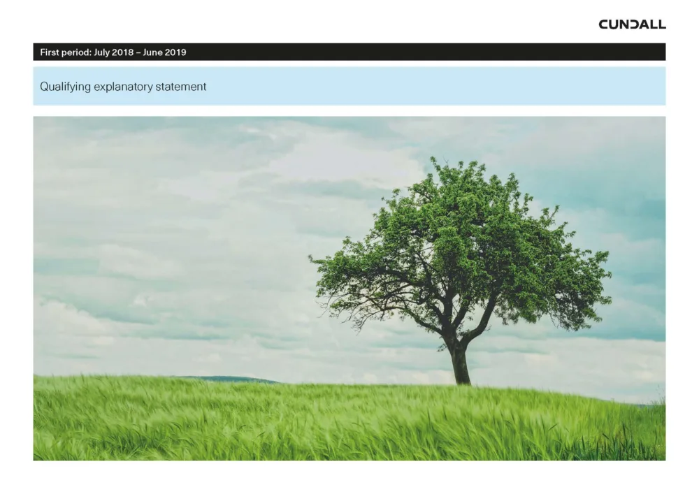 Document cover of the Cundall Qualifying explanatory statement with an image of a lone tree on a grassy mound