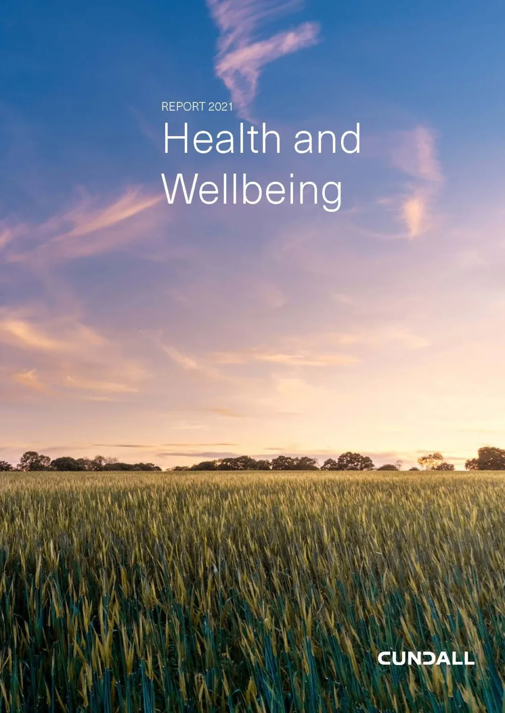 Cover of the Health and Wellbeing Report 2021 showing a picture of a wheat field with a low sun in a blue sky