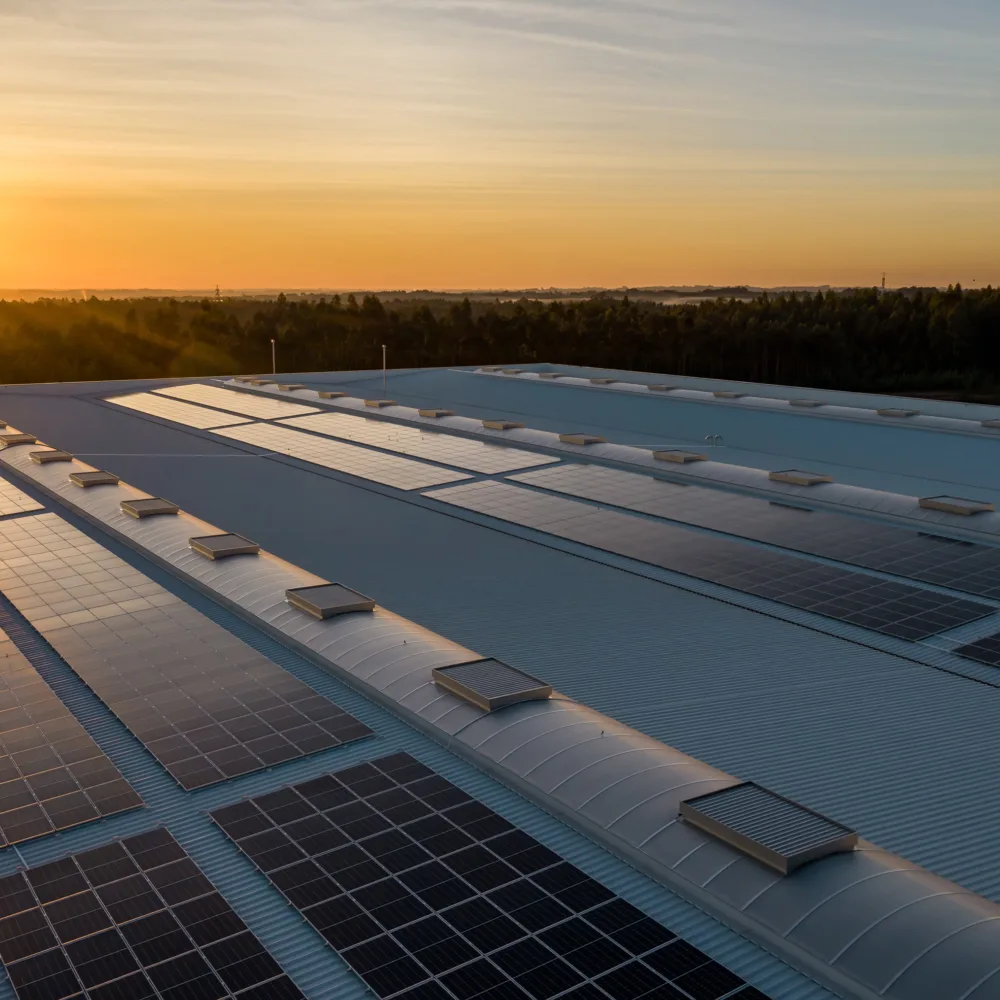 Roof mounted solar panels with the sun setting in the distance