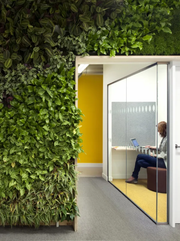 UK Green Building Council office interior with meeting room and green wall
