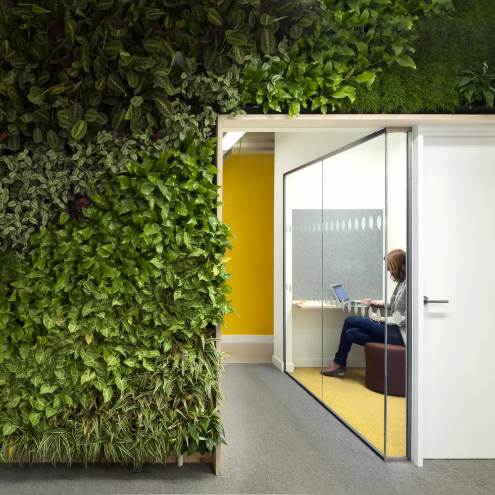 UK Green Building Council office interior with meeting room and green wall