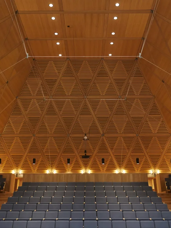 King’s College Music School Wimbledon theatre room with wooden structural panelling and blue seating lit up with warm lighting