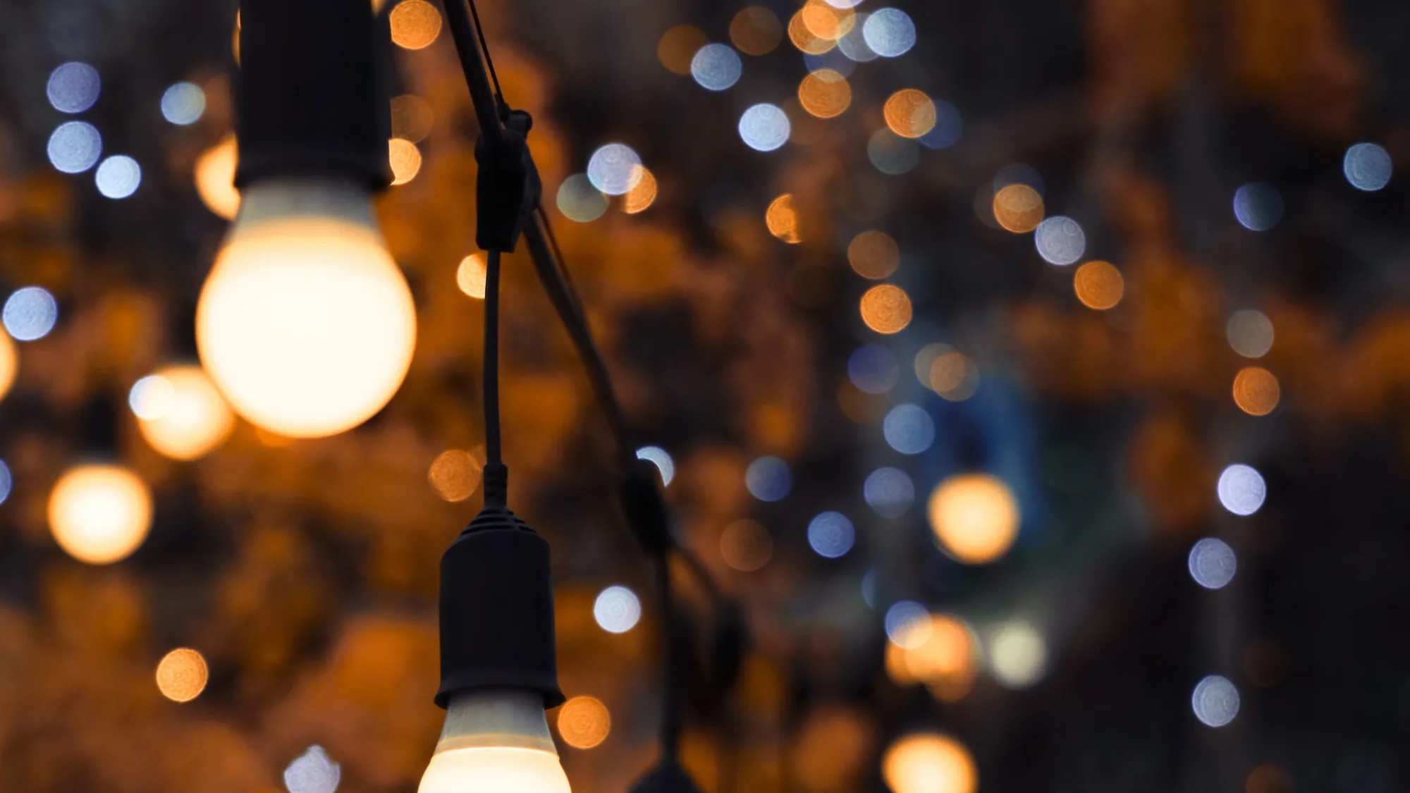 Hanging bulbs from a decorated outdoor tree at night