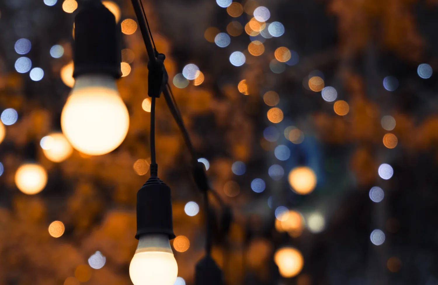 Hanging bulbs from a decorated outdoor tree at night