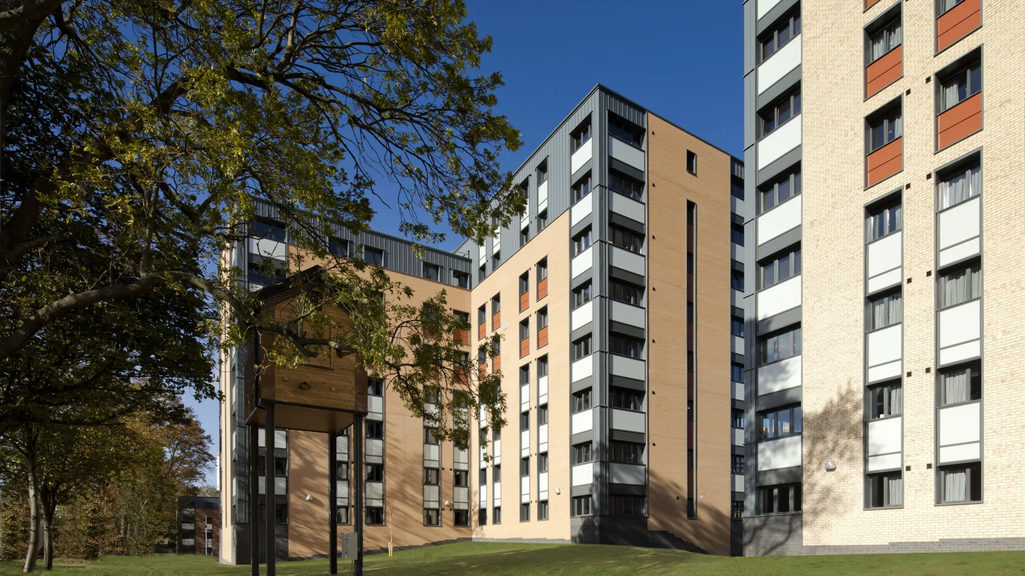 Exterior of a block of residential student halls behind a tree