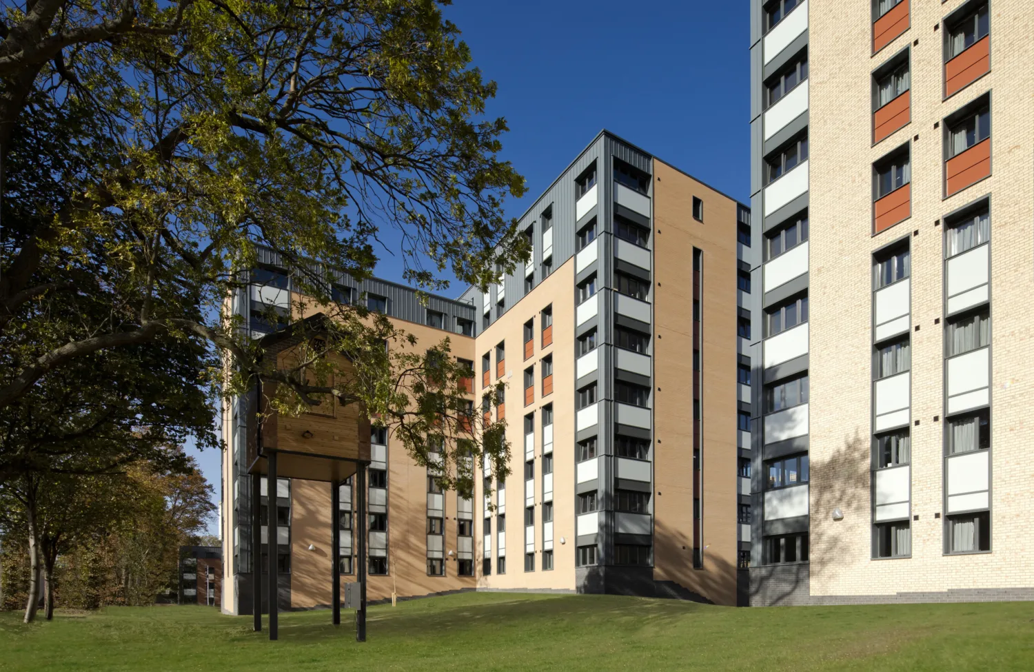 Exterior of a block of residential student halls behind a tree
