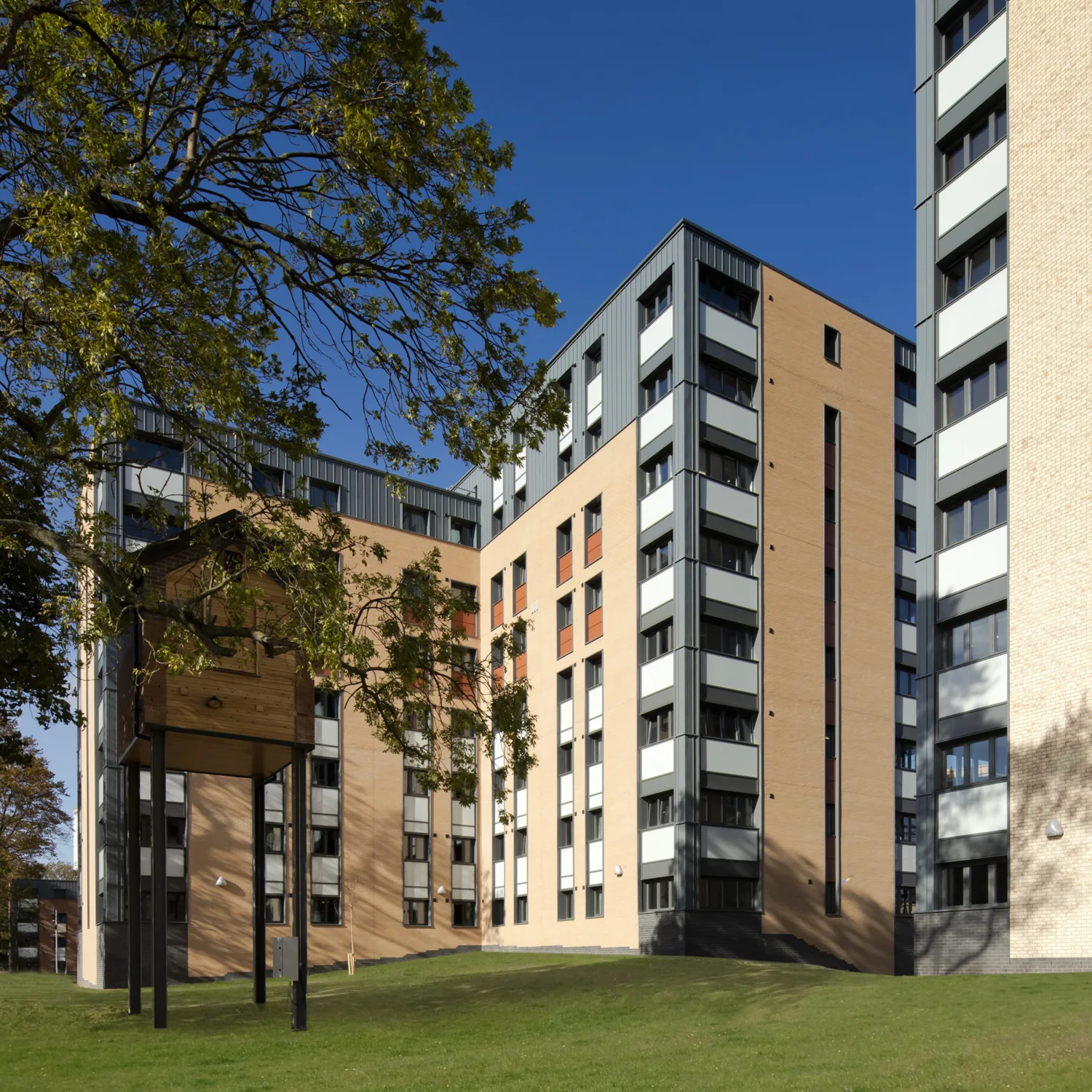 Exterior of a block of residential student halls behind a tree