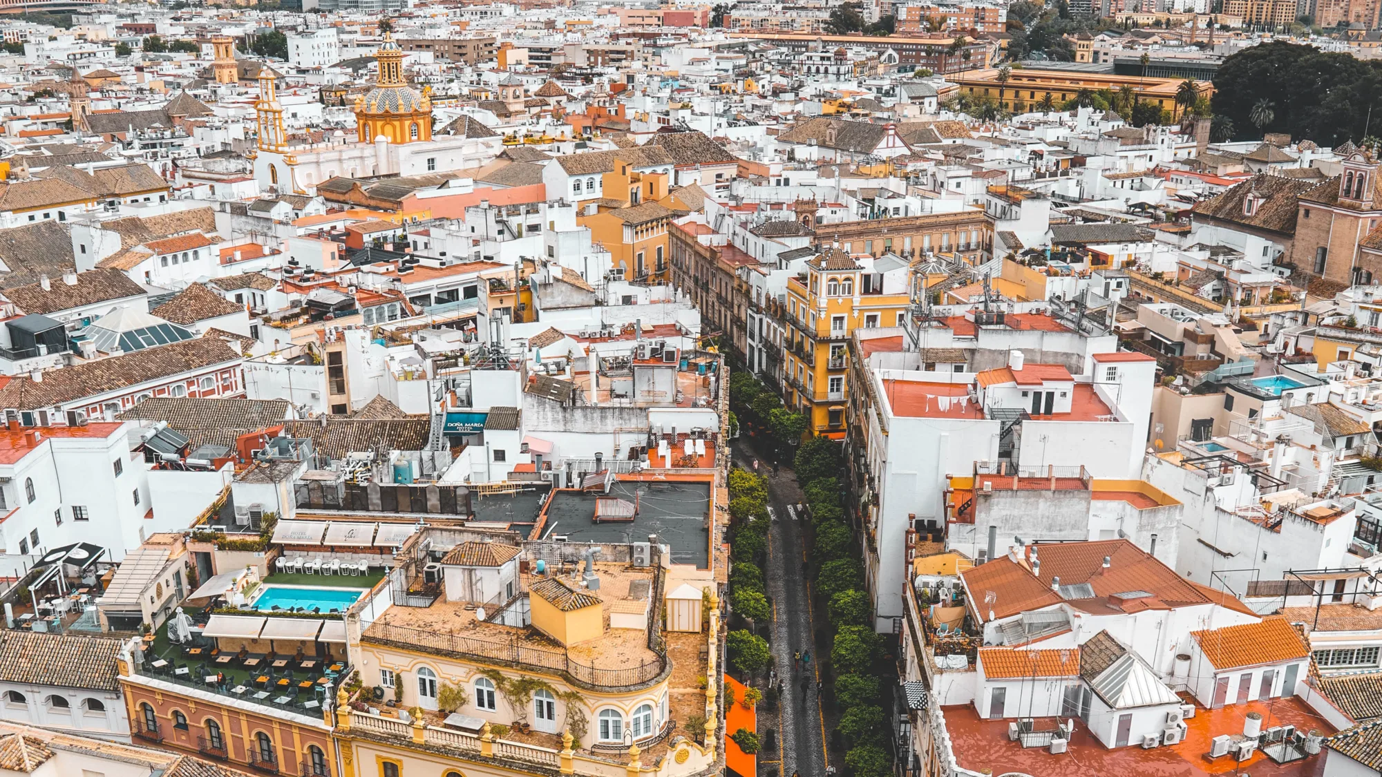 Rooftop view across Madrid with a tree lined street