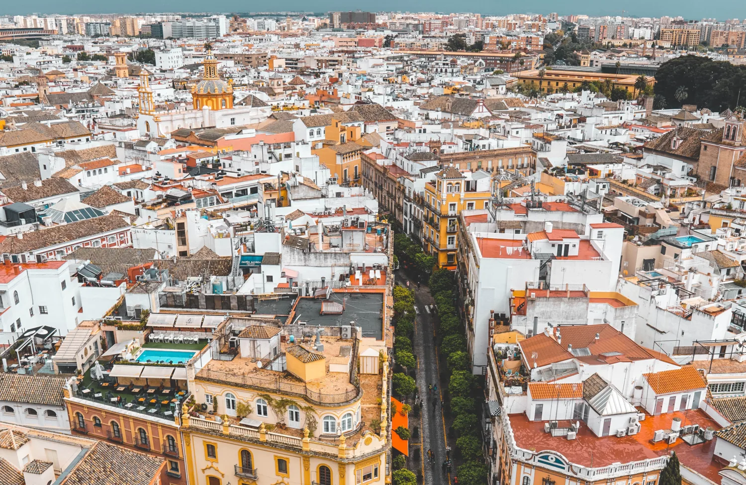 Rooftop view across Madrid with a tree lined street